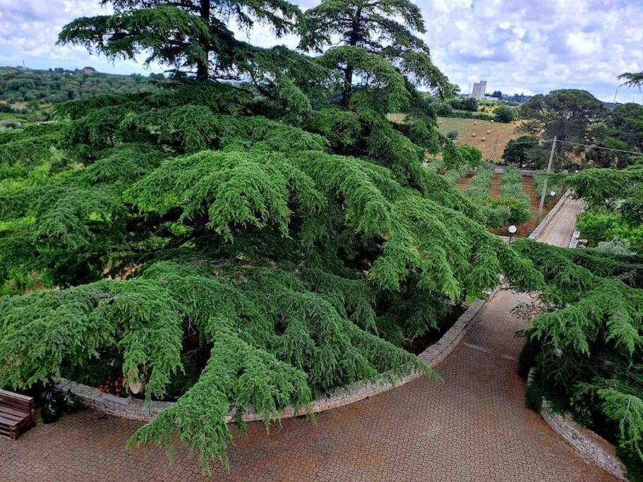 Apartament Casina Foggia Dell'Albero Putignano Zewnętrze zdjęcie