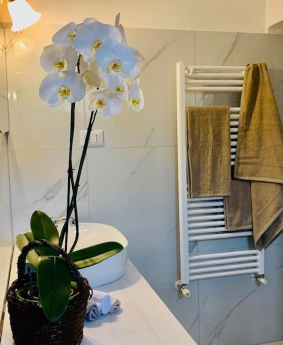 Apartament Casina Foggia Dell'Albero Putignano Zewnętrze zdjęcie