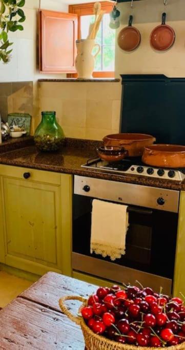 Apartament Casina Foggia Dell'Albero Putignano Zewnętrze zdjęcie